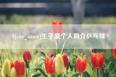 山西王子豪个人简介乒乓球