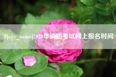 山西2020年消防考试网上报名时间