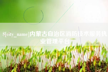 山西内蒙古自治区消防技术服务执业管理平台