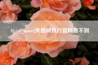 山西失信被执行官网查不到