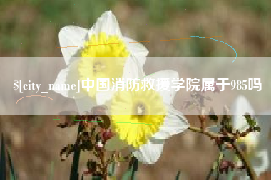 山西中国消防救援学院属于985吗