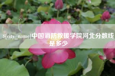 山西中国消防救援学院河北分数线是多少