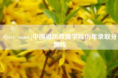 山西中国消防救援学院历年录取分数线