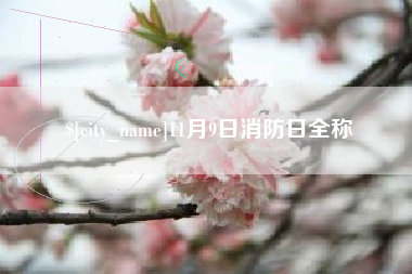 山西11月9日消防日全称