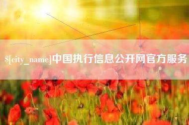 山西中国执行信息公开网官方服务