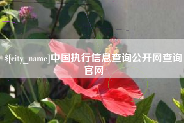 山西中国执行信息查询公开网查询官网