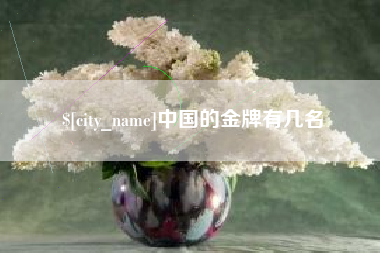 山西中国的金牌有几名