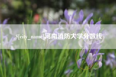 山西河南消防大学分数线