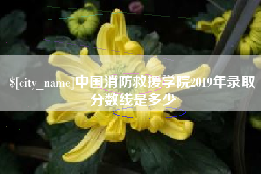 山西中国消防救援学院2019年录取分数线是多少