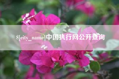 山西中国执行网公开查询