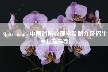 山西中国消防救援学院简介及招生章程指挥部