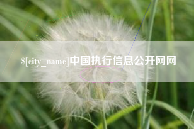 山西中国执行信息公开网网