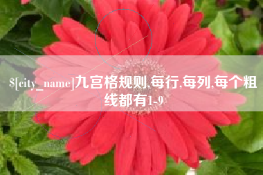 山西九宫格规则,每行,每列,每个粗线都有1-9