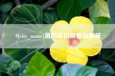 山西消防证初级查询系统
