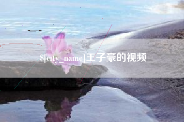 山西王子豪的视频