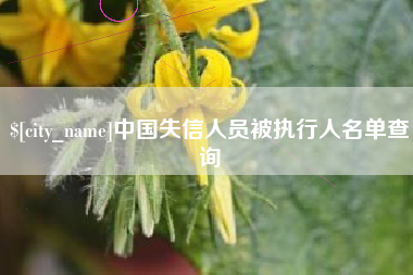 山西中国失信人员被执行人名单查询