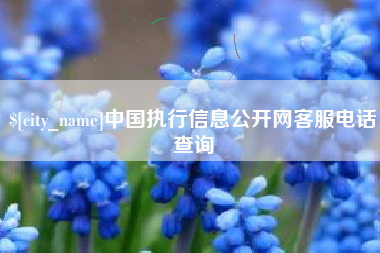 山西中国执行信息公开网客服电话查询
