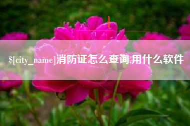 山西消防证怎么查询,用什么软件