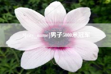山西男子5000米冠军
