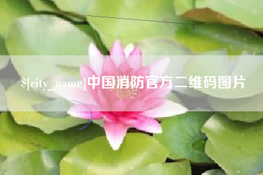 山西中国消防官方二维码图片