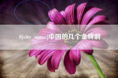 山西中国的几个金牌啊