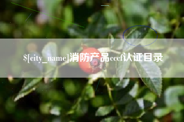 山西消防产品cccf认证目录