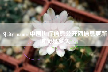 山西中国执行信息公开网信息更新时间是多久