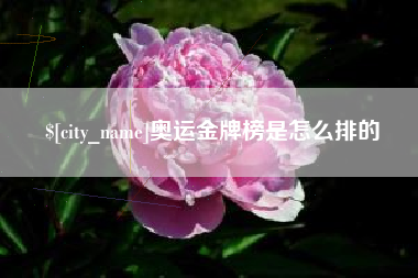 山西奥运金牌榜是怎么排的