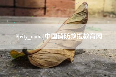 山西中国消防救援教育网