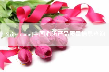 山西中国消防产品质量信息查询