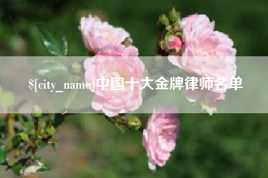 山西中国十大金牌律师名单