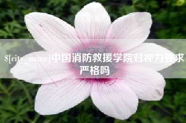 山西中国消防救援学院对视力要求严格吗