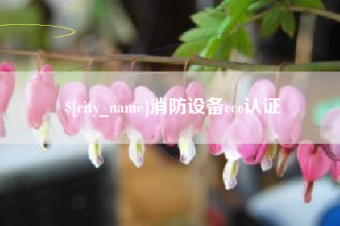 山西消防设备ccc认证