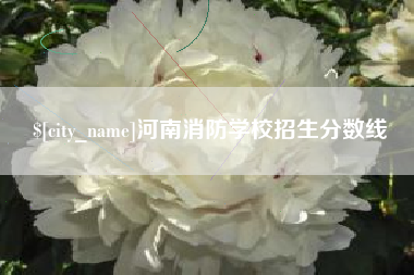 山西河南消防学校招生分数线