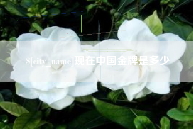 山西现在中国金牌是多少