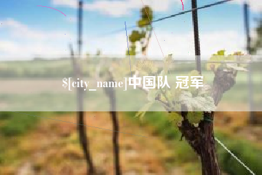 山西中国队 冠军