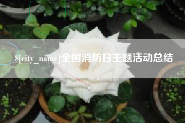 山西全国消防日主题活动总结