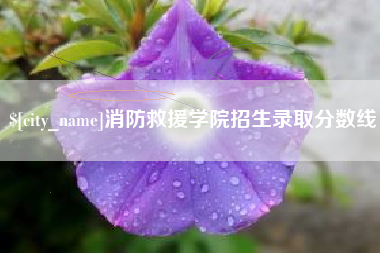 山西消防救援学院招生录取分数线