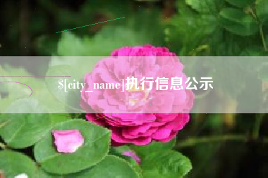 山西执行信息公示