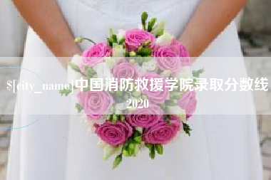 山西中国消防救援学院录取分数线2020