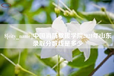 山西中国消防救援学院2021年山东录取分数线是多少