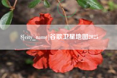 山西谷歌卫星地图2025