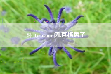 山西九宫格盘子