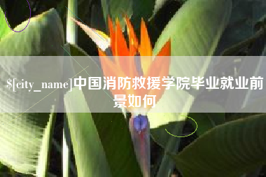 山西中国消防救援学院毕业就业前景如何