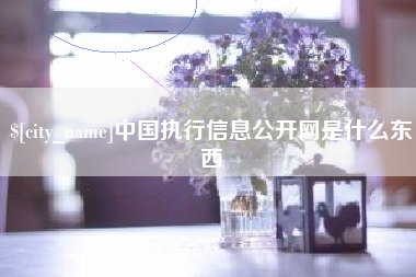 山西中国执行信息公开网是什么东西