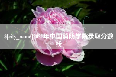 山西2021年中国消防学院录取分数线