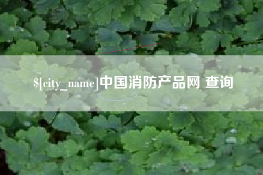 山西中国消防产品网 查询