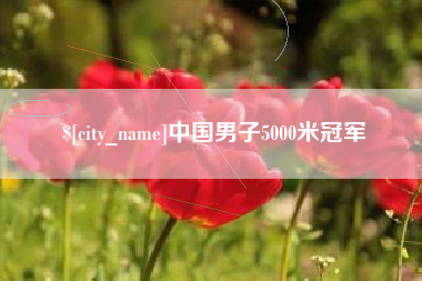 山西中国男子5000米冠军