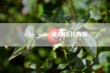 山西金牌图片真实