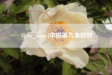 山西中国第九金回放